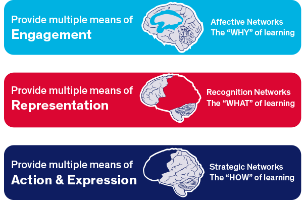 Different parts of the brain are used when learning in different ways.