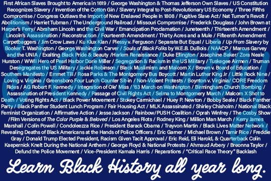 Learn Black History all year long.