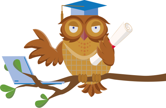 A scholarly owl with a laptop and mortarboard represents the Inclusive Education Certificate awardees.